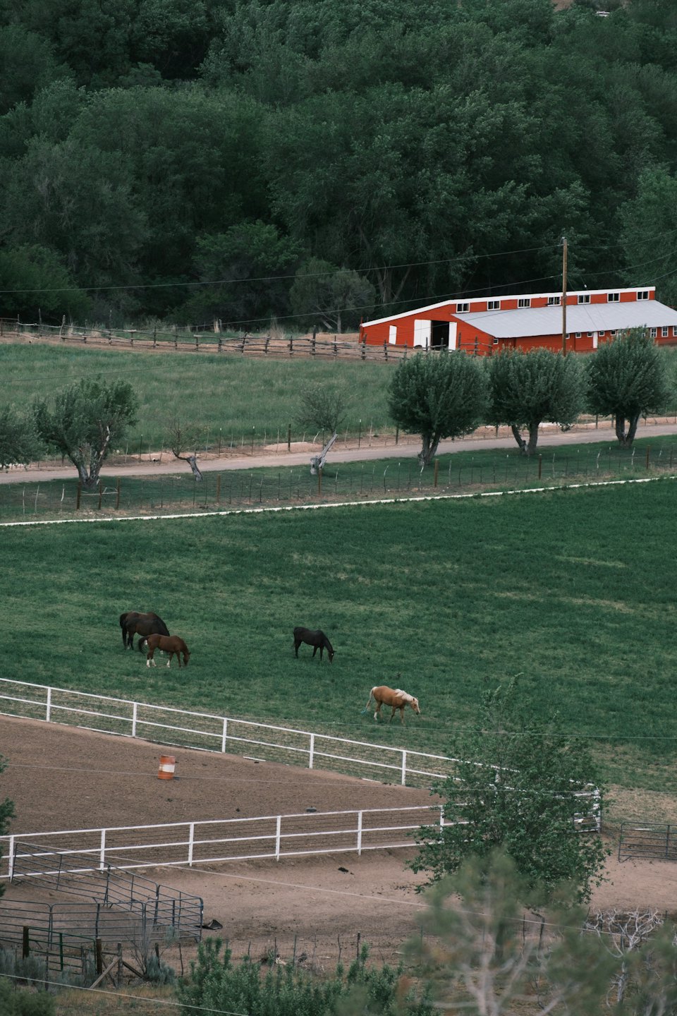 Horses graze in a green pasture near a red barn.