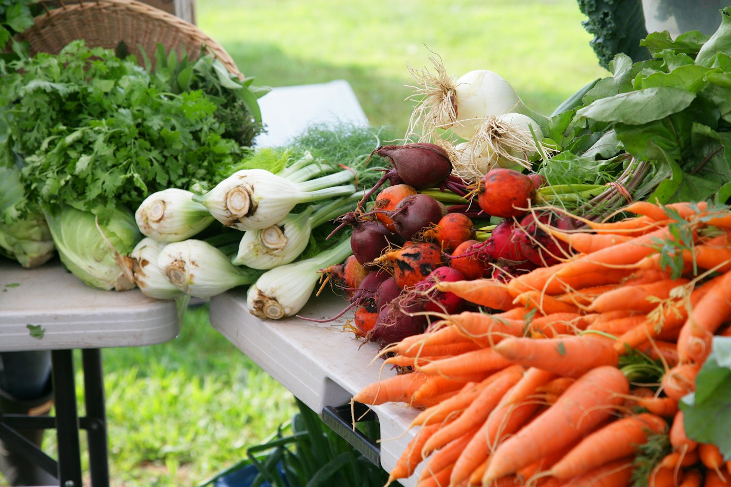 Fresh organic vegetables arranged on white tables at a market.
