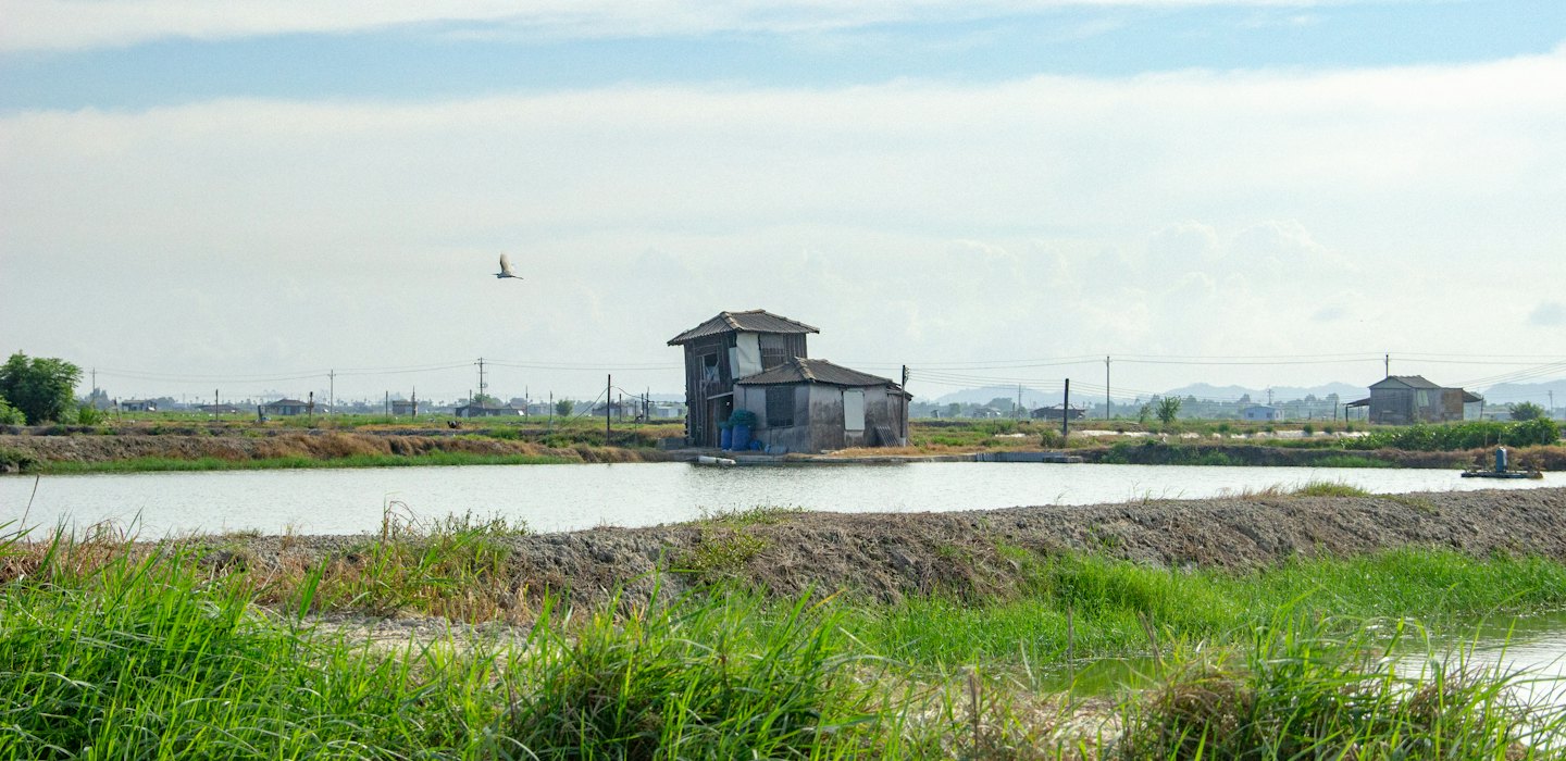 A white bird flies over rectangular aquaculture ponds and buildings.