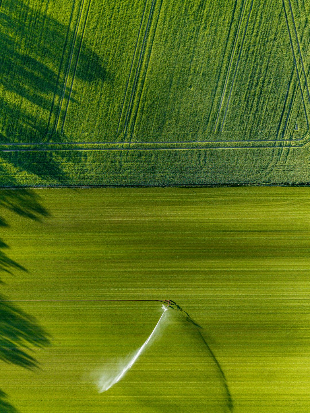 Aerial view of two green agricultural fields with irrigation.