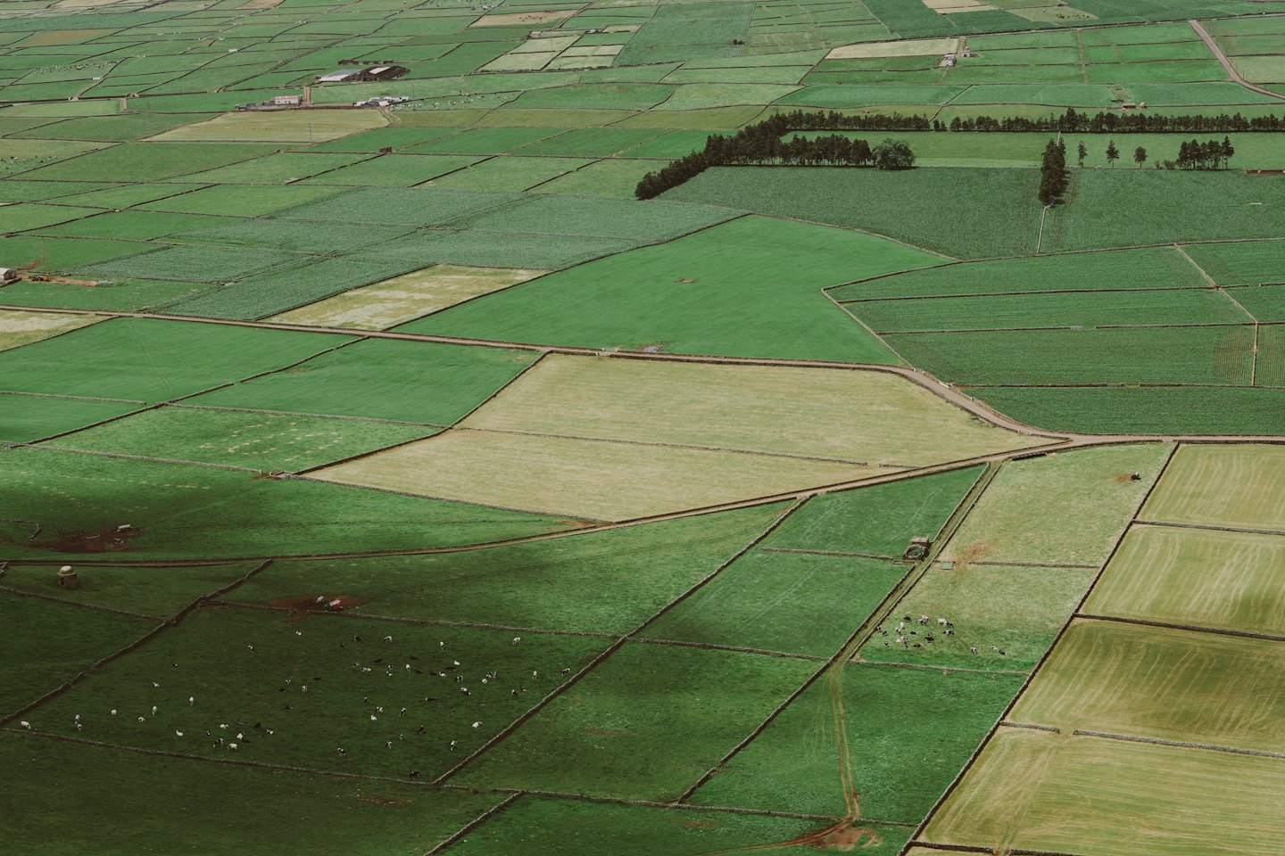 Agricultural fields divided by stone walls and dirt paths.