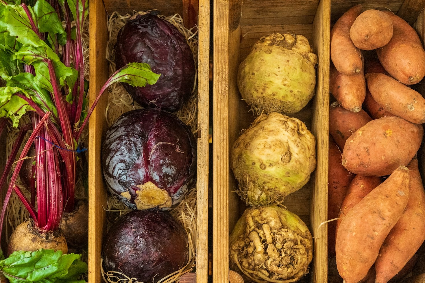 Top Sustainable Farming Practices Shaping Modern Agriculture