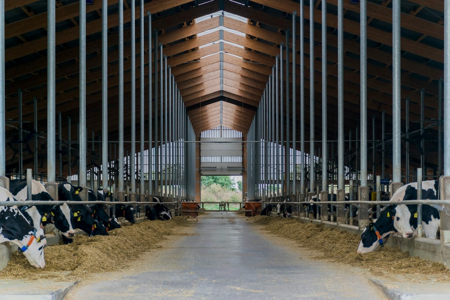 How to Choose the Freshest Farm-Grown Groceries